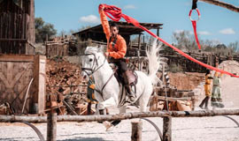 PUY DU FOU + El sueño de Toledo y Madrid