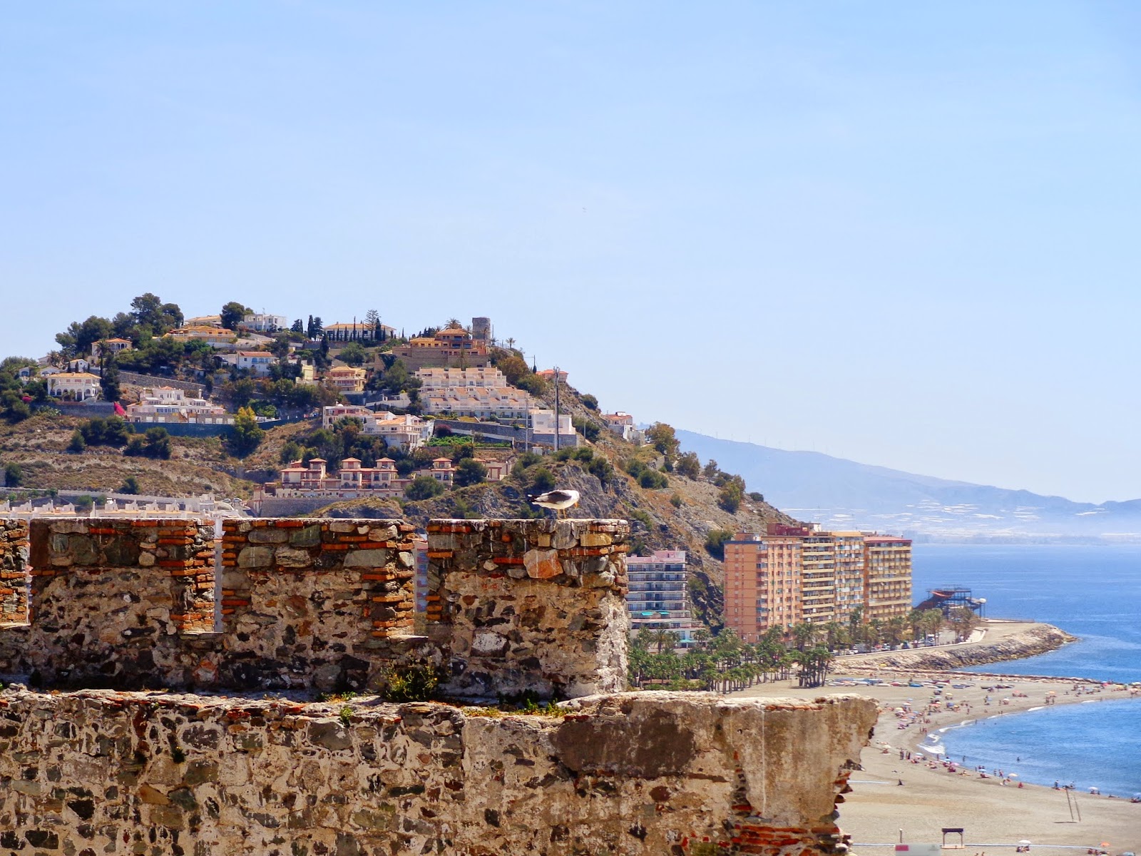 Alpujarra y Costa tropical  (jamón opcional)