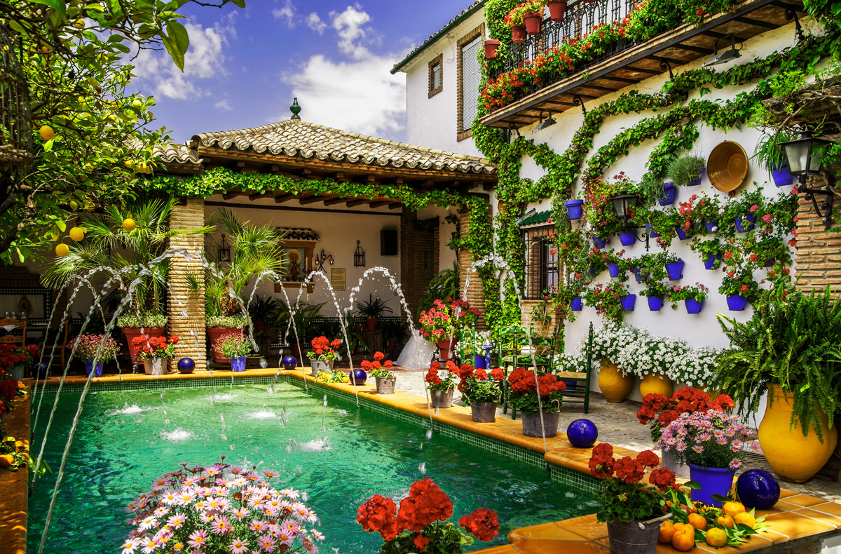 Excursión a los Patios de Córdoba