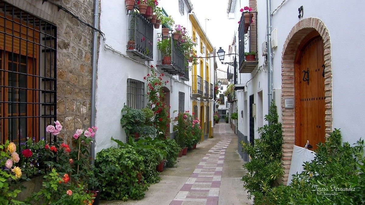 Reino de Jaen, Ubeda, Baeza, y Virgen de la Cabeza